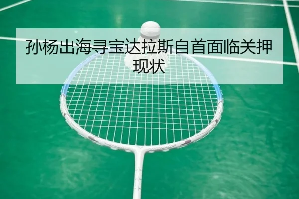 孙杨出海寻宝达拉斯自首面临关押现状